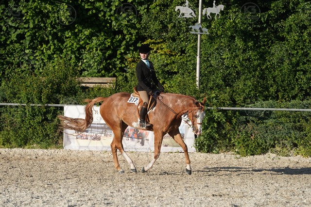 sA9K06173.JPG